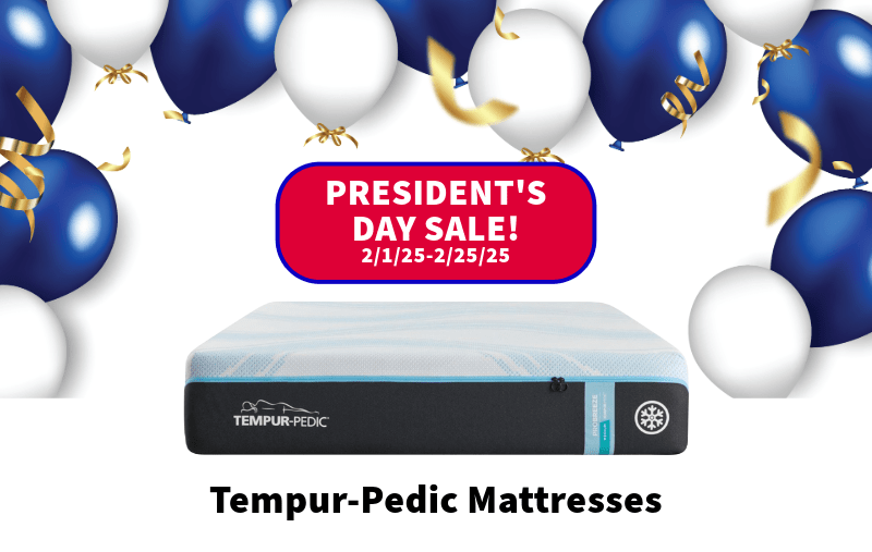 President’s Day Sale 2025